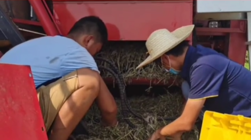 張新龍命運(yùn)的齒輪開始轉(zhuǎn)動(dòng)源于中聯(lián)收獲 640 (3).png