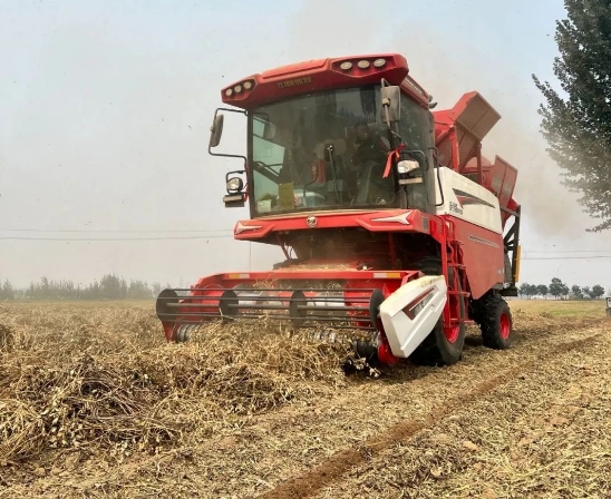 從麥客到花生王：渭南拜師傅的跨賽道致富經(jīng)